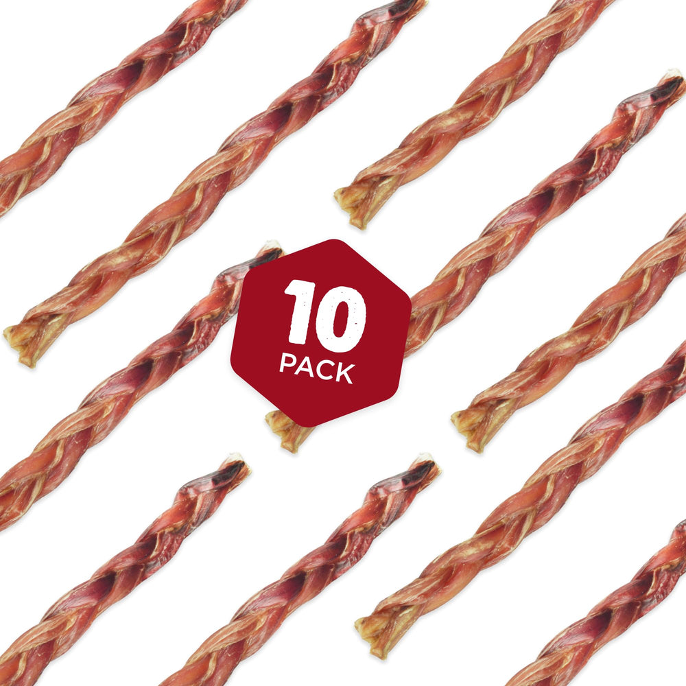 Best Bully Sticks 12-inch braided chew ideal for aggressive chewers and dental scraping.