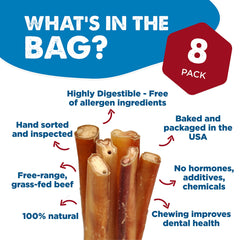Best Bully Sticks 12inch closeup highlights thick, durable chew ideal for aggressive chewers.