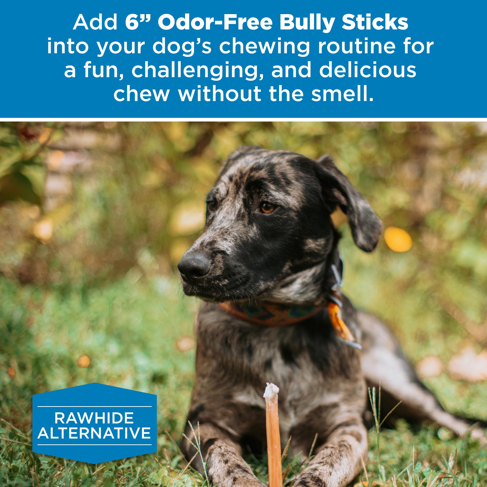 Best Bully Sticks bulk bag packaging highlights convenient 20-count supply.