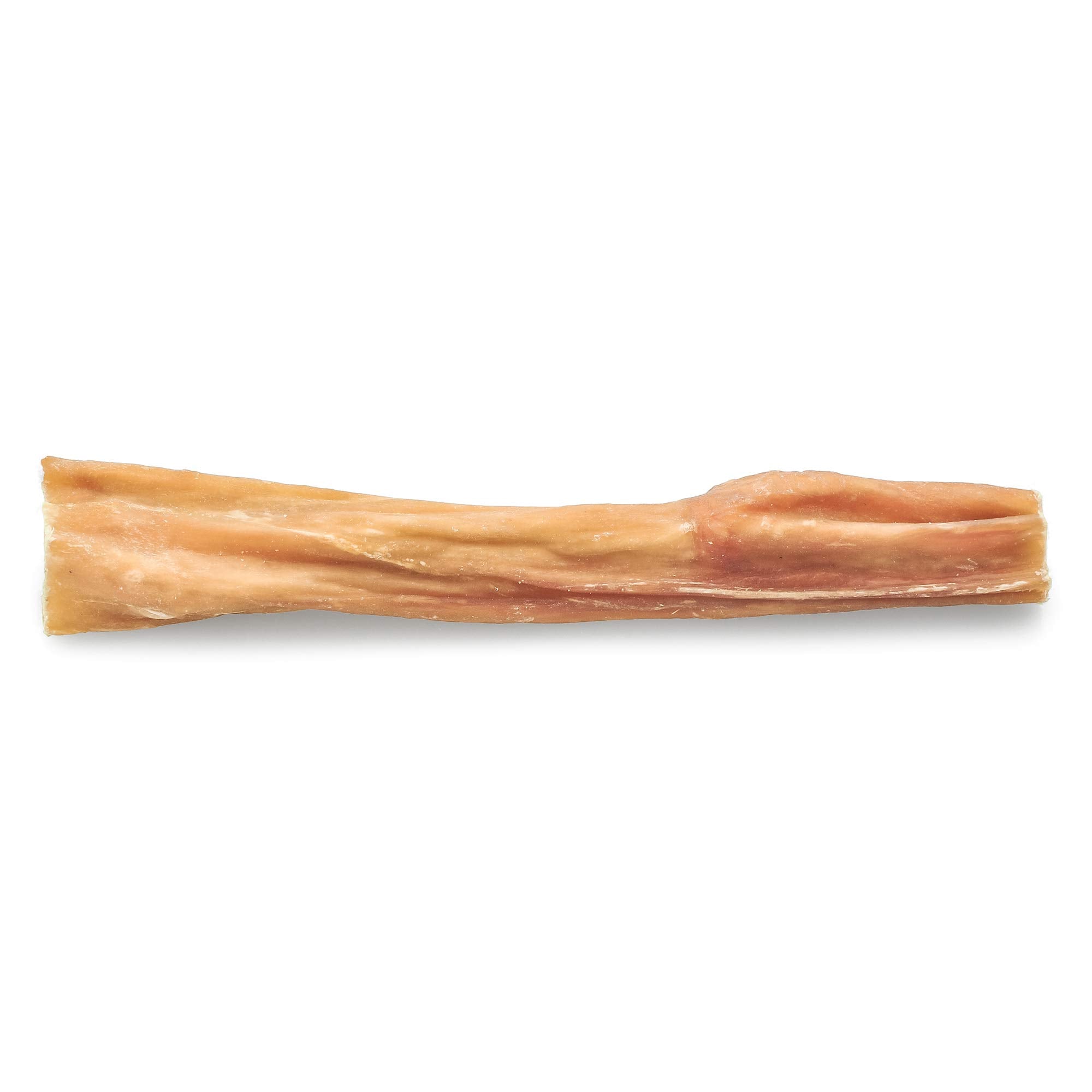 Best Bully Sticks bladder stick dog-chewing action highlights engaging chew session
