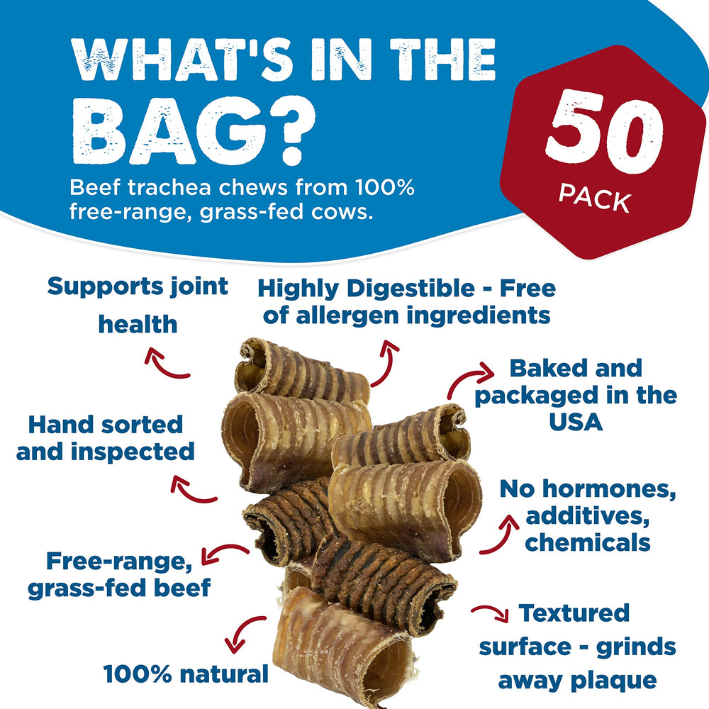 Best Bully Sticks beef trachea texture closeup showing durable chew for dental health support