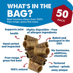 Best Bully Sticks beef trachea texture closeup showing durable chew for dental health support
