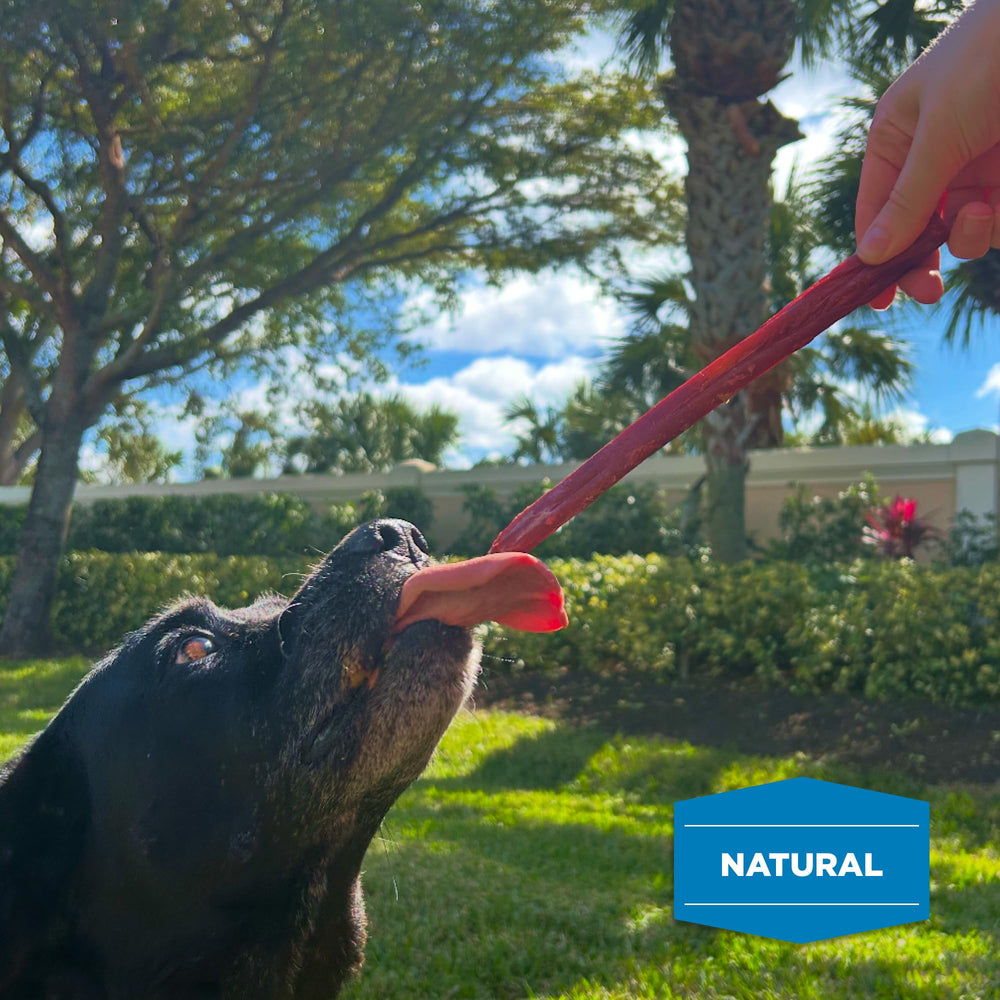 Best Bully Sticks collagen-core digestible chew