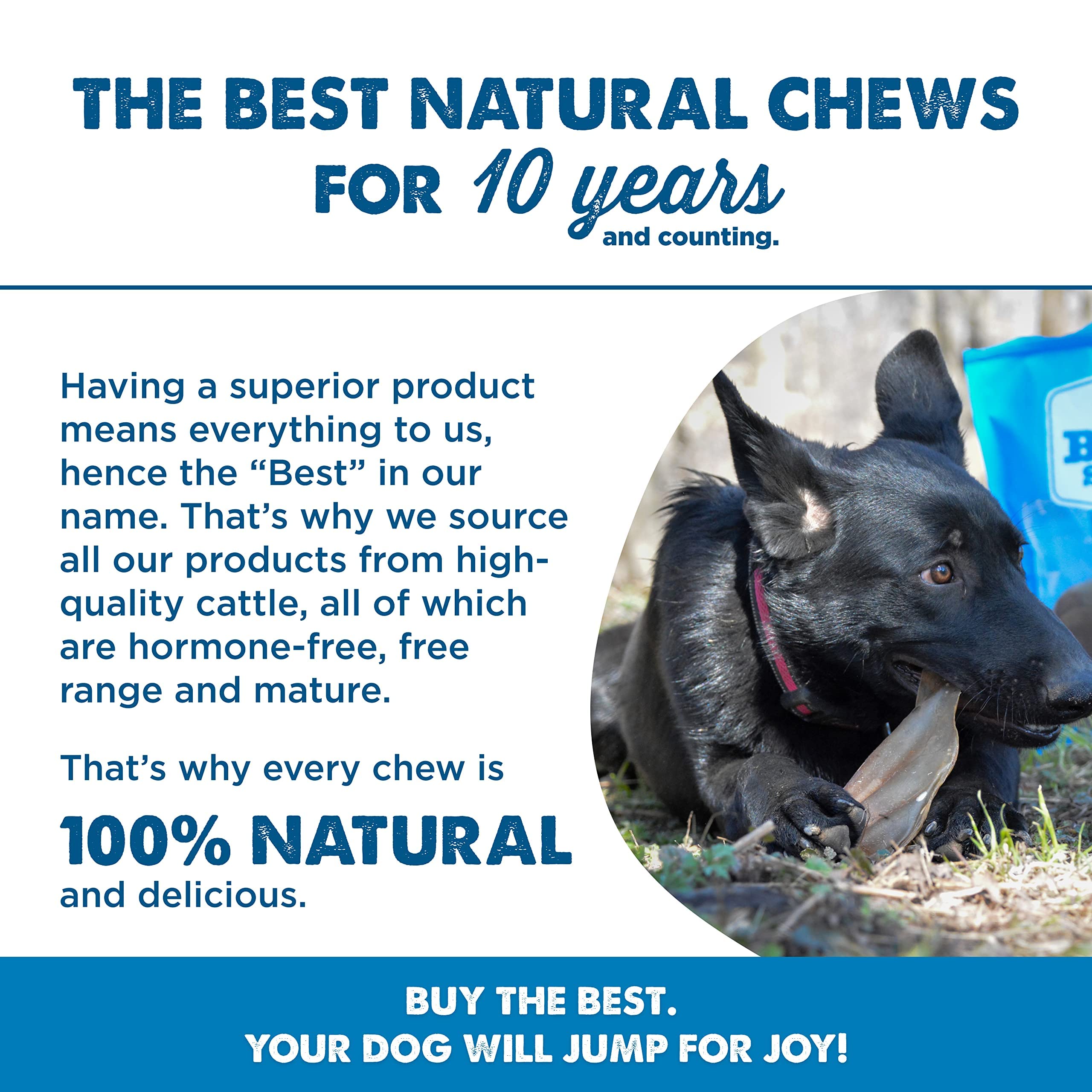 Best Bully Sticks cow ears long-lasting chew supports extended play sessions.
