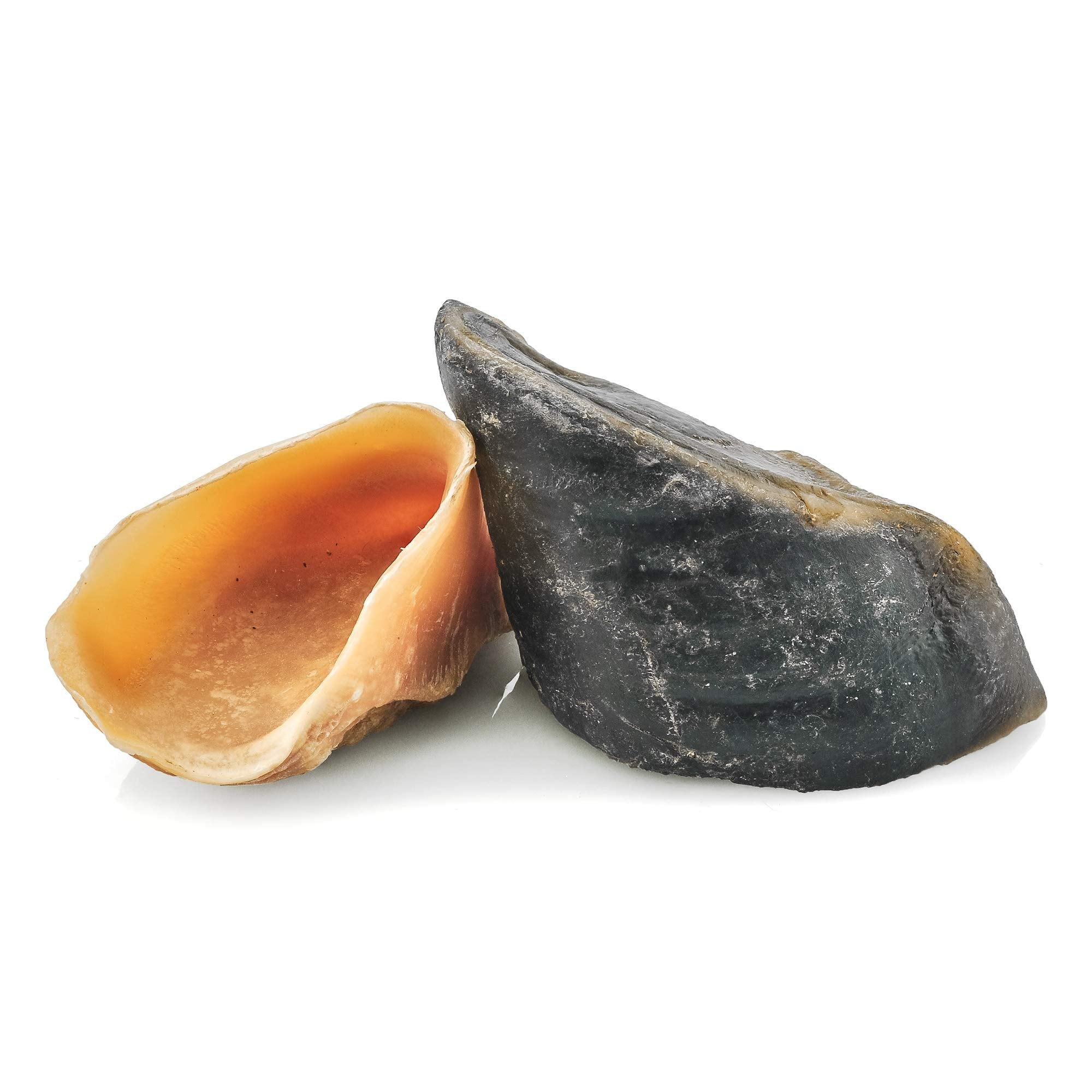 Best Bully Sticks cow hooves natural scent delights dogs during chew time.