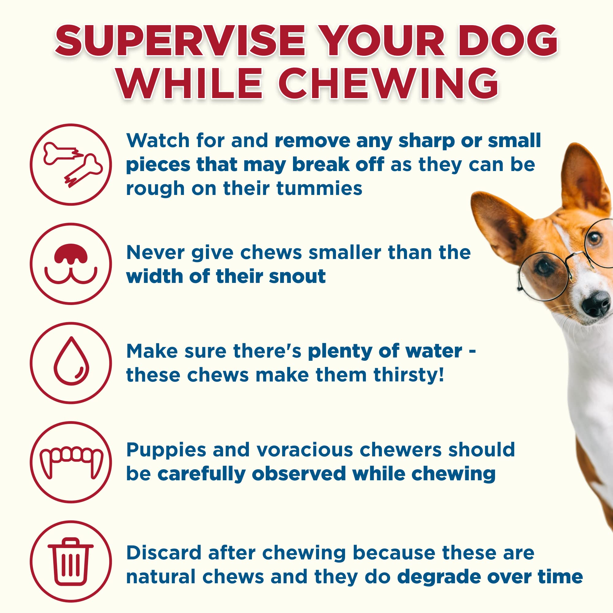 Best Bully Sticks dental-chew feel, textured surface for oral care interest