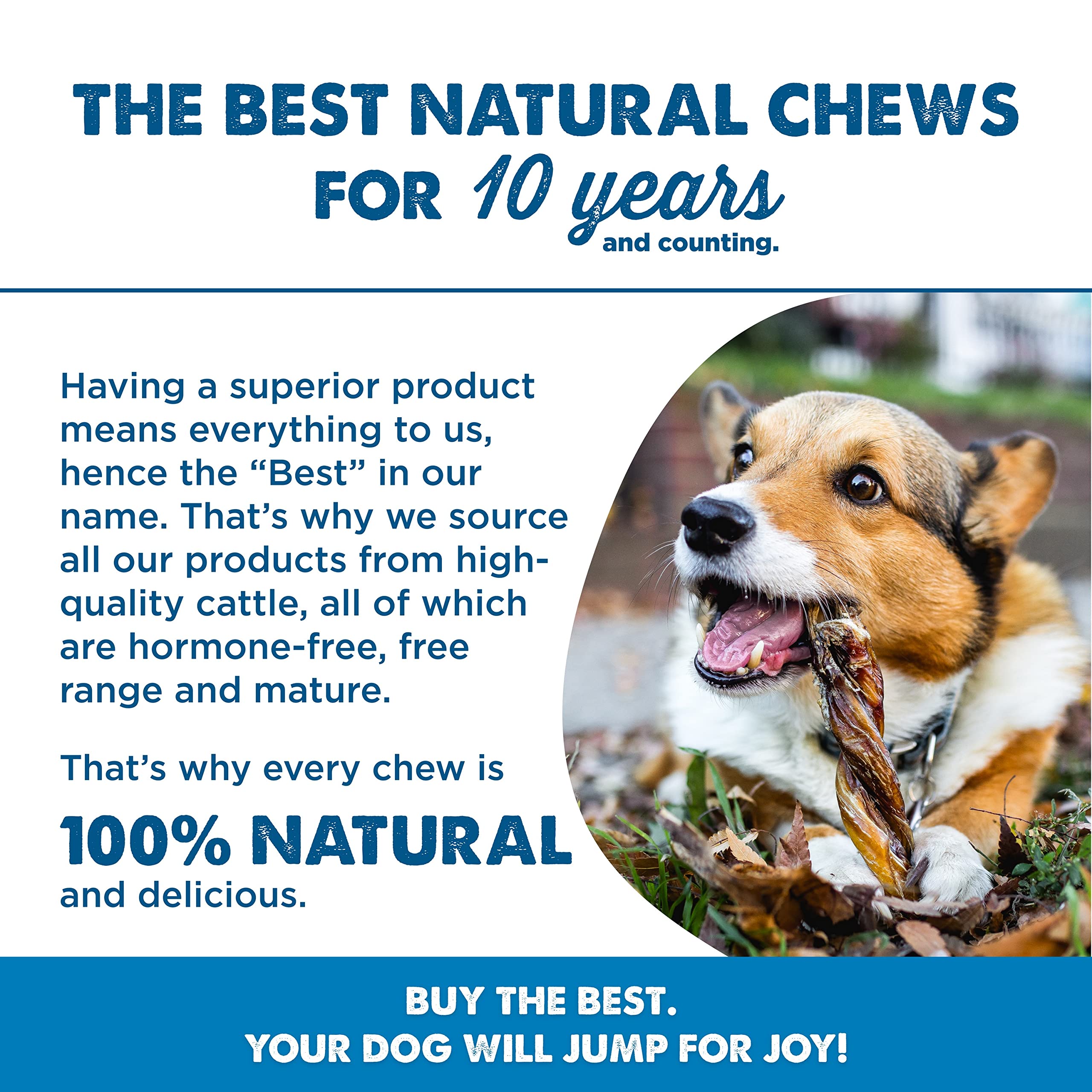 Best Bully Sticks dental-health chew may help remove tartar through chewing