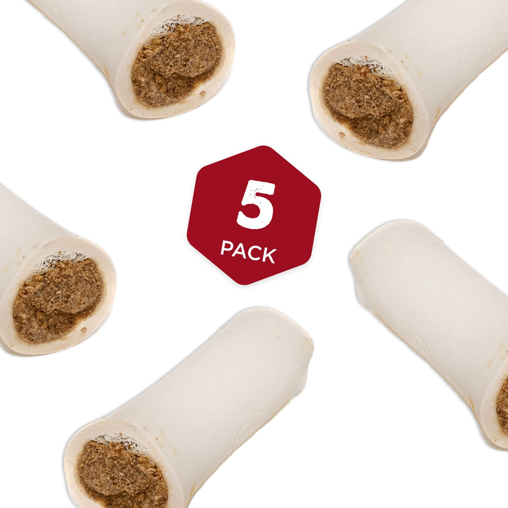 Best Bully Sticks durable chew for dogs, showcasing rugged texture during bite