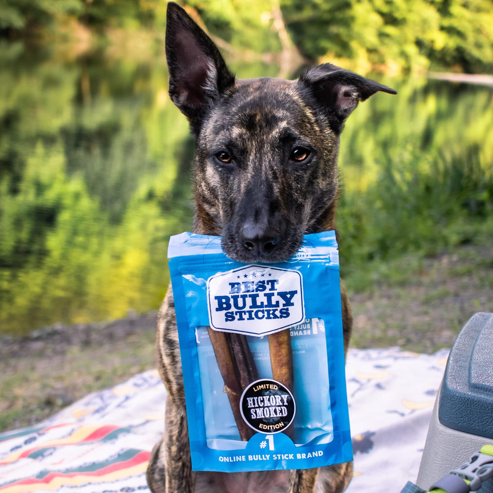 Best Bully Sticks grass-fed beef chew 6in image for satisfying canine instincts with wholesome snack
