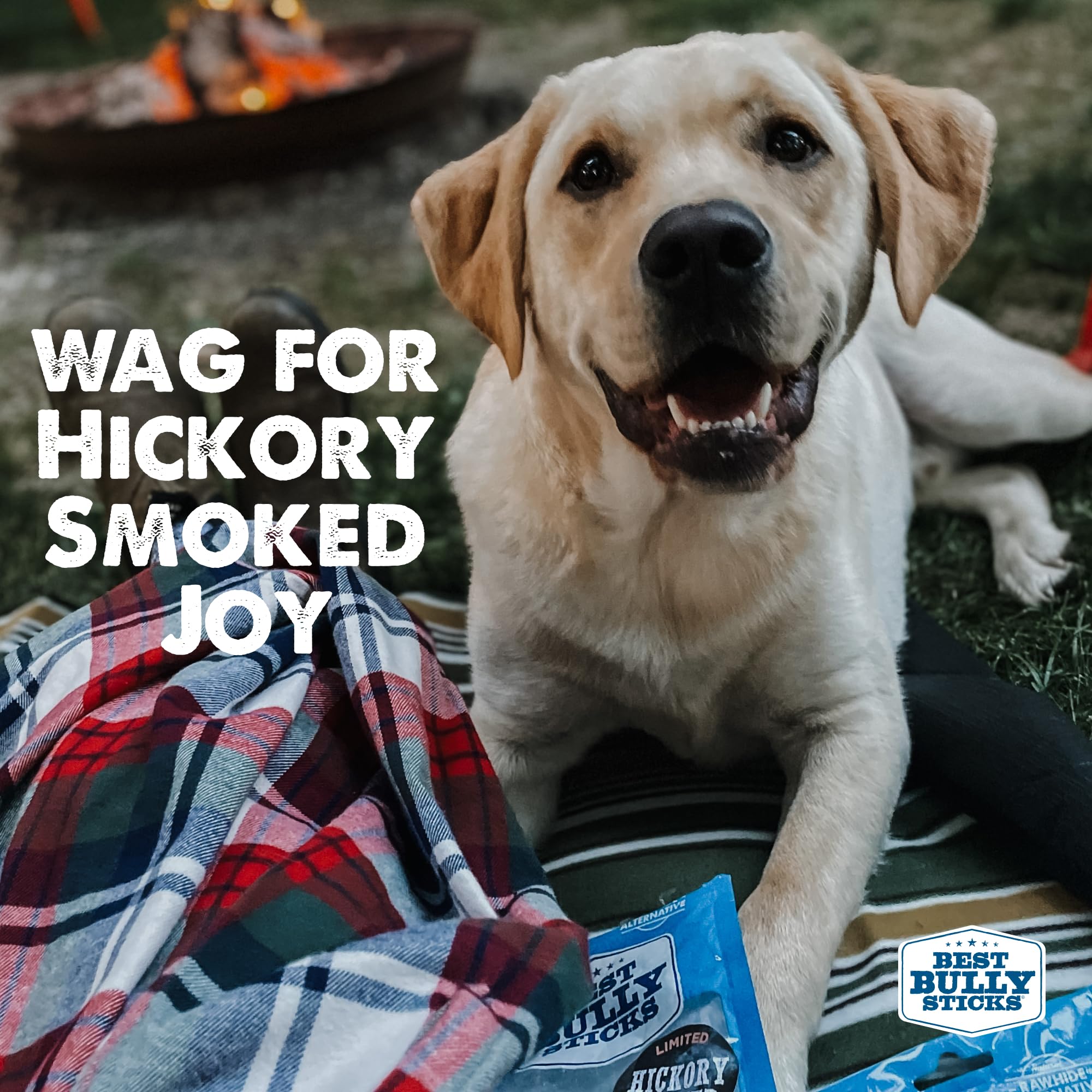 Best Bully Sticks hickory-smoked 6in texture-detail highlights chewy texture for dental benefits.