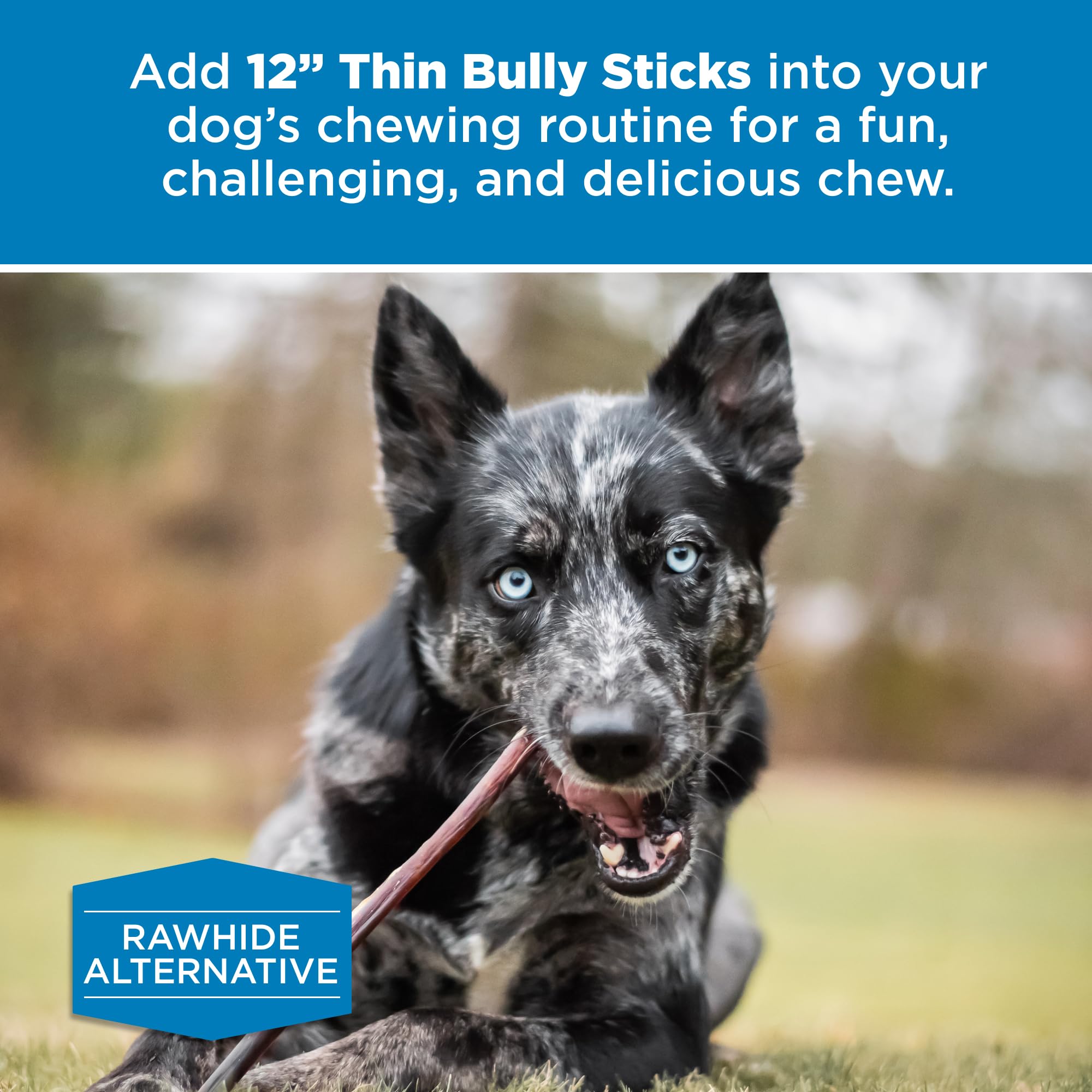 Best Bully Sticks bully-stick holder compatible image—easy training rewards and mess-free feeding.