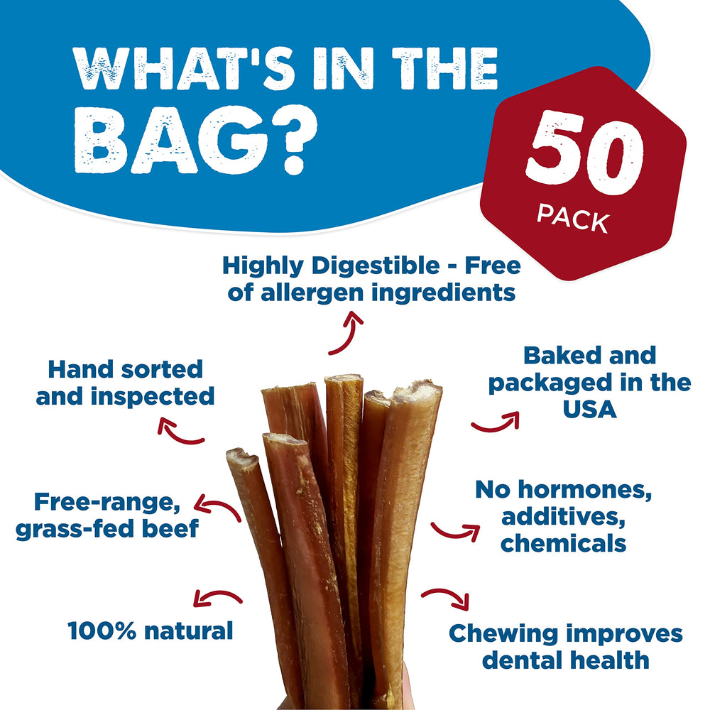 Best Bully Sticks large dog chew promotes dental care through sustained chewing.