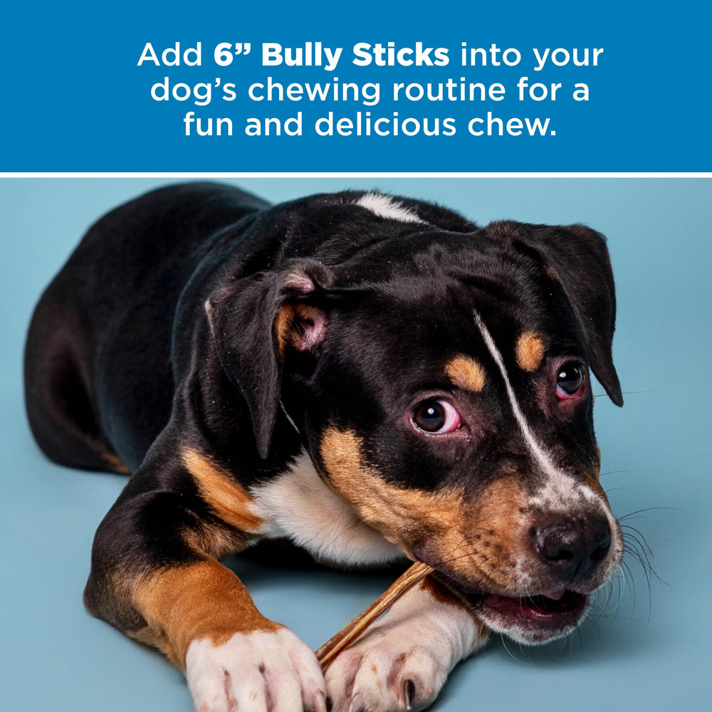 Best Bully Sticks ideal for large dogs and large-breed puppies.