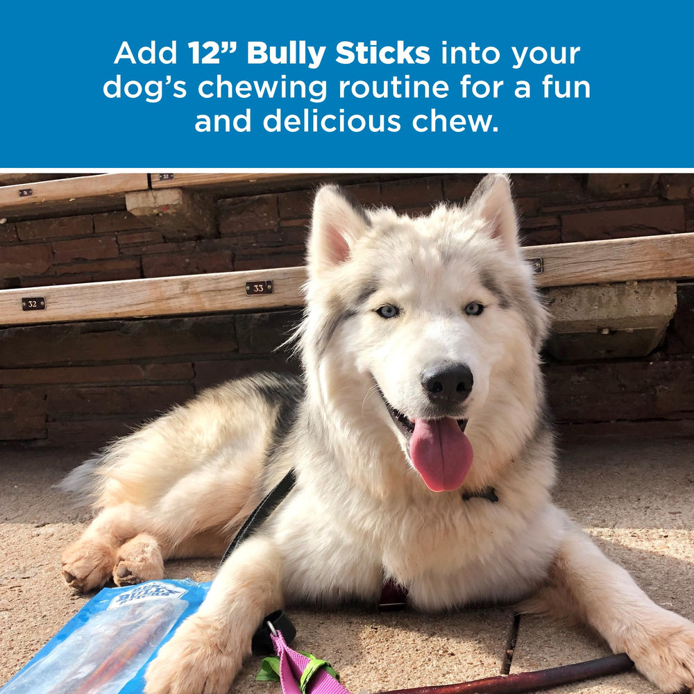 Best Bully Sticks natural scent chew without artificial additives.