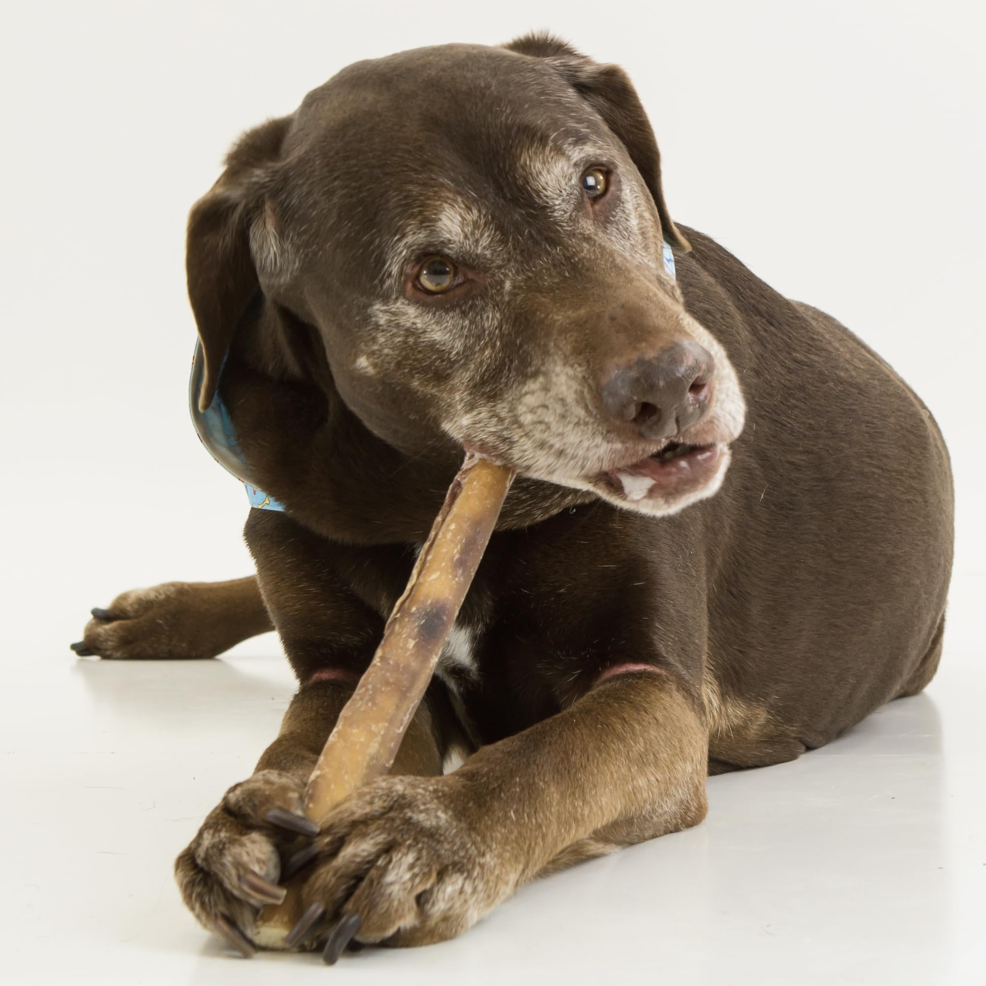Best Bully Sticks natural scent jumbo sticks dogs often find irresistible.