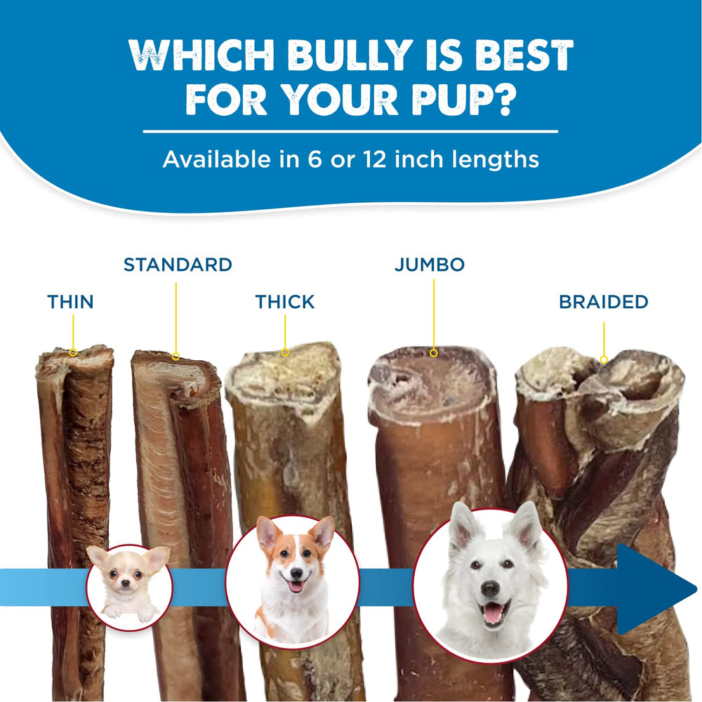 Best Bully Sticks natural scent chew delights dogs with authentic aroma.