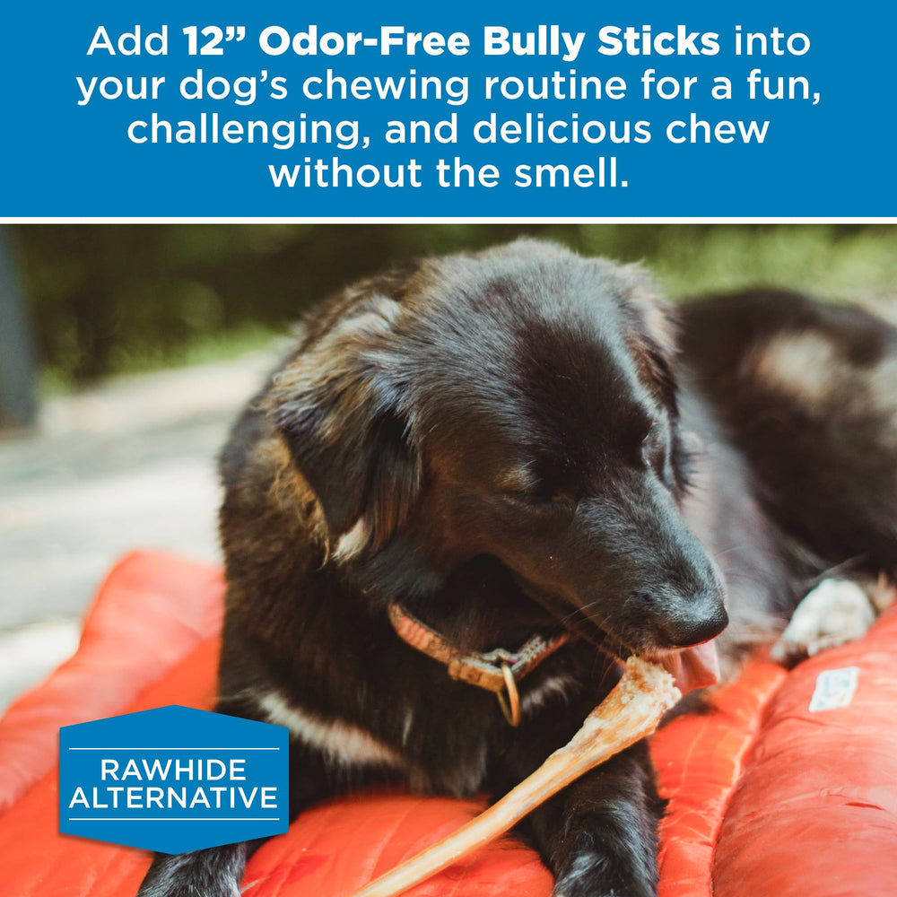 Best Bully Sticks packaging photo communicates rawhide-free, grain-free options for conscientious pet owners.