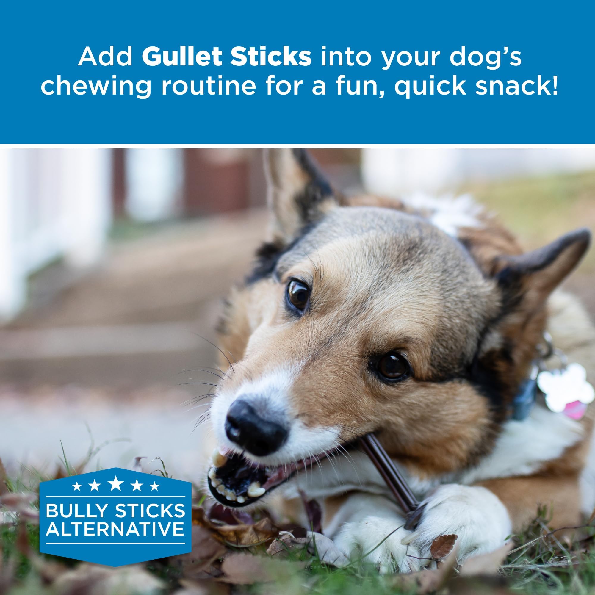 Best Bully Sticks quality-safety-commitment ensures wholesome dog treats