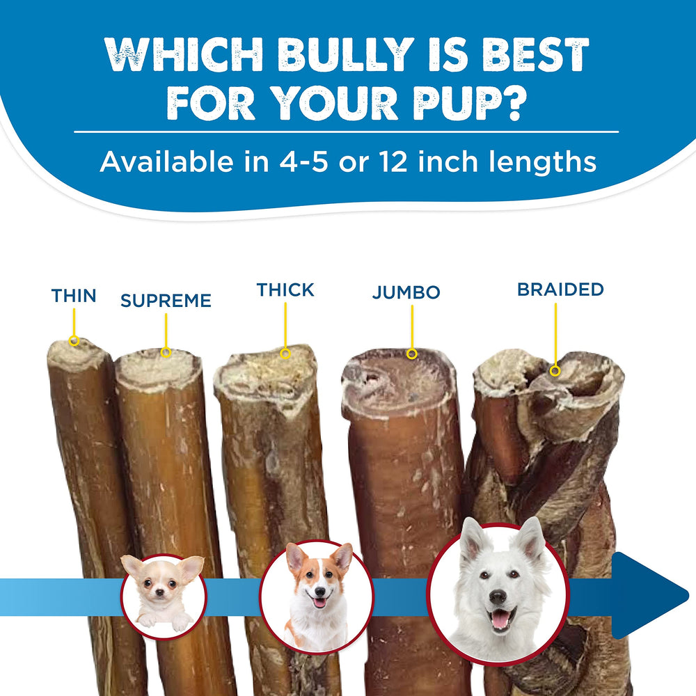 Best Bully Sticks rawhide-free alternative for safer, worry-free dog chews.