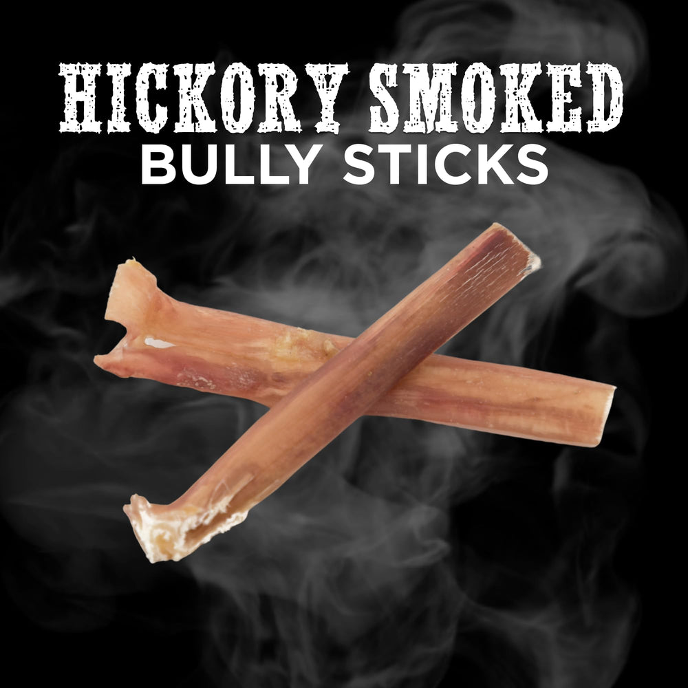 Best Bully Sticks rawhide-free chicken-free dog chew image—safer snacking.