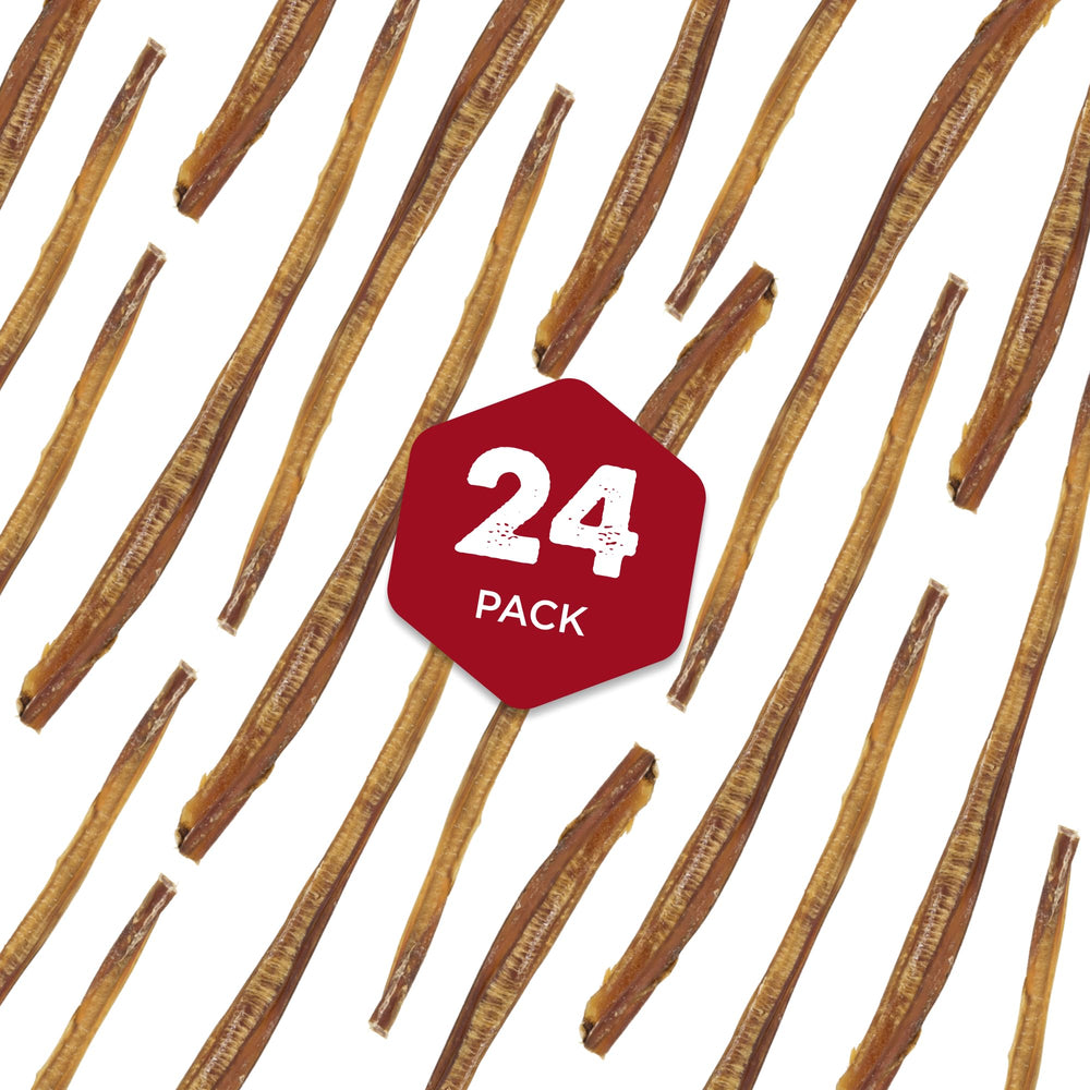 Best Bully Sticks senior-dog chew closeup—thin hollow design ideal for seniors and sensitive chewers.