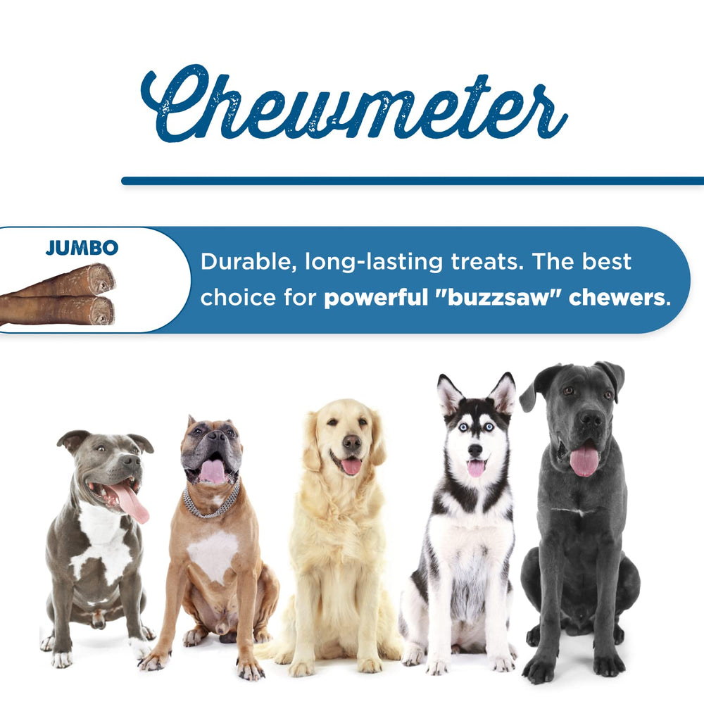 Best Bully Sticks single-ingredient beef chew; simple, high-protein option.