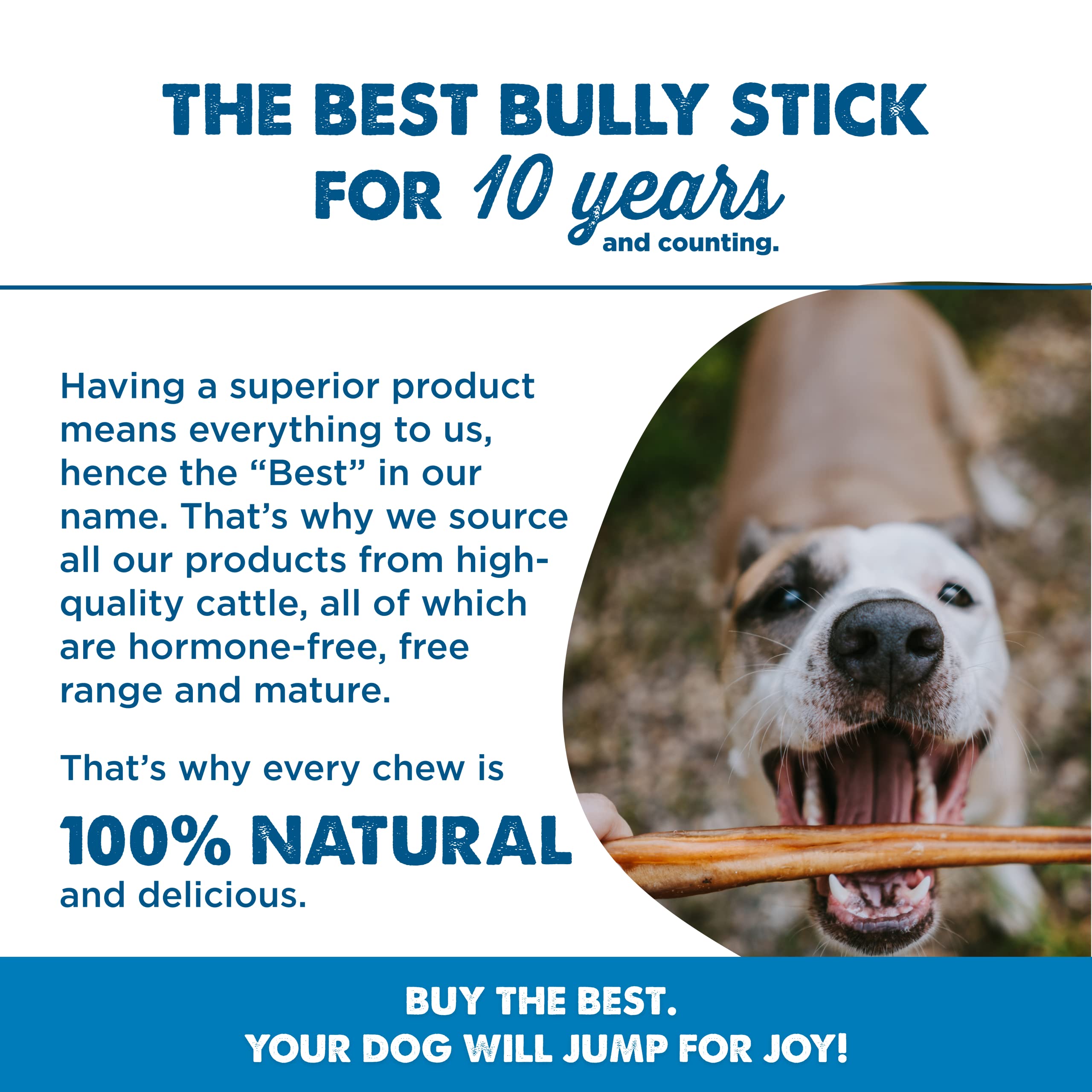 Best Bully Sticks for puppies teething supports gentle chewing and teething comfort.