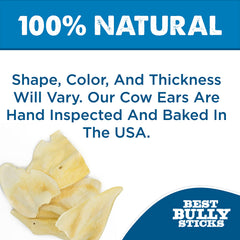 Best Bully Sticks thick-cut cow ears dental chew action, may support dental hygiene.