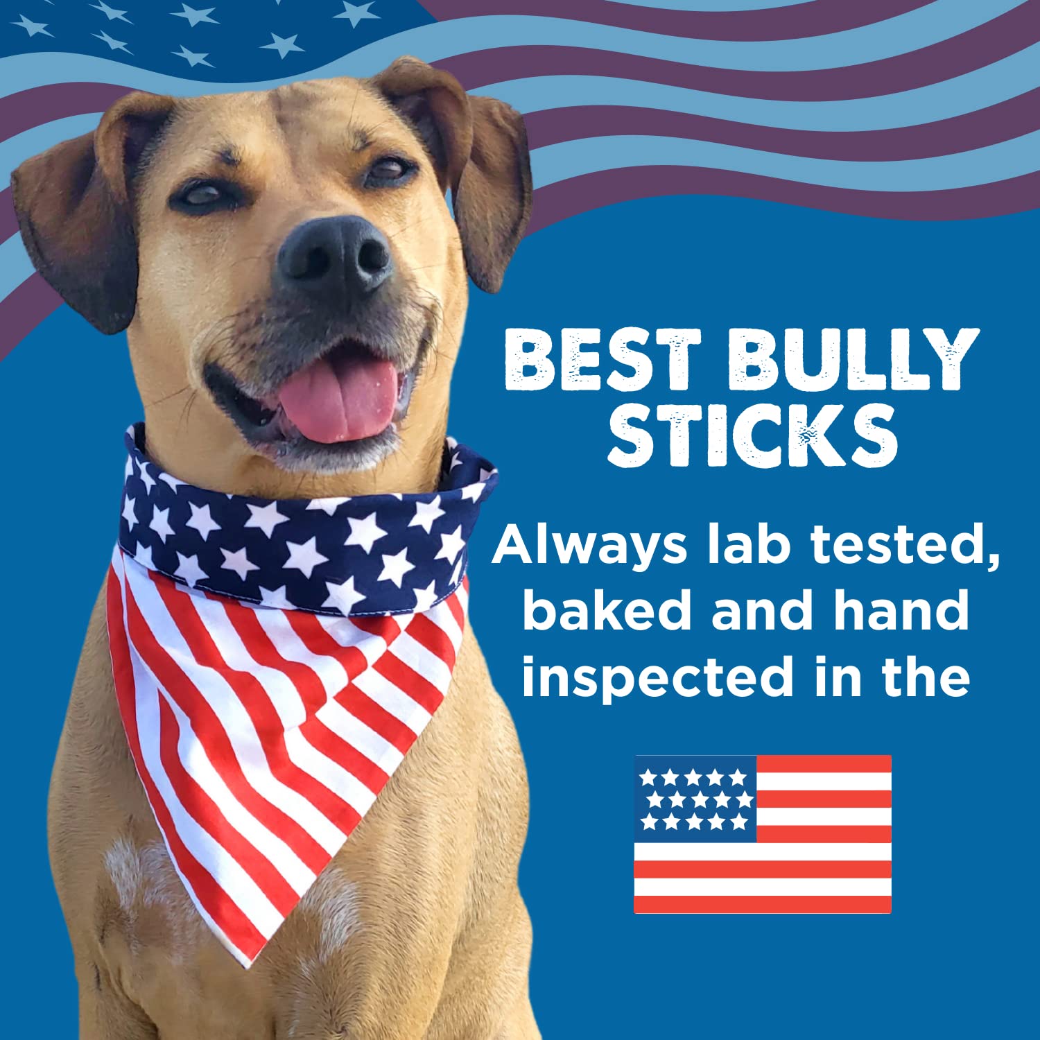 Best Bully Sticks training reward pack; 25-count for consistent praise.