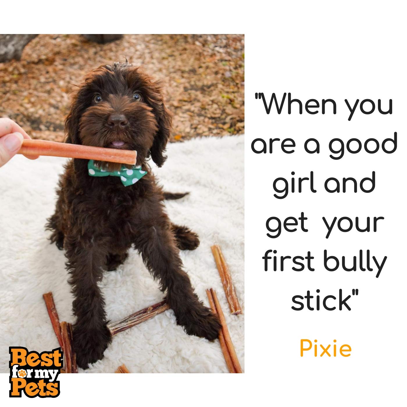 Best For My Pets long-lasting dog chews for medium and large dogs use-case