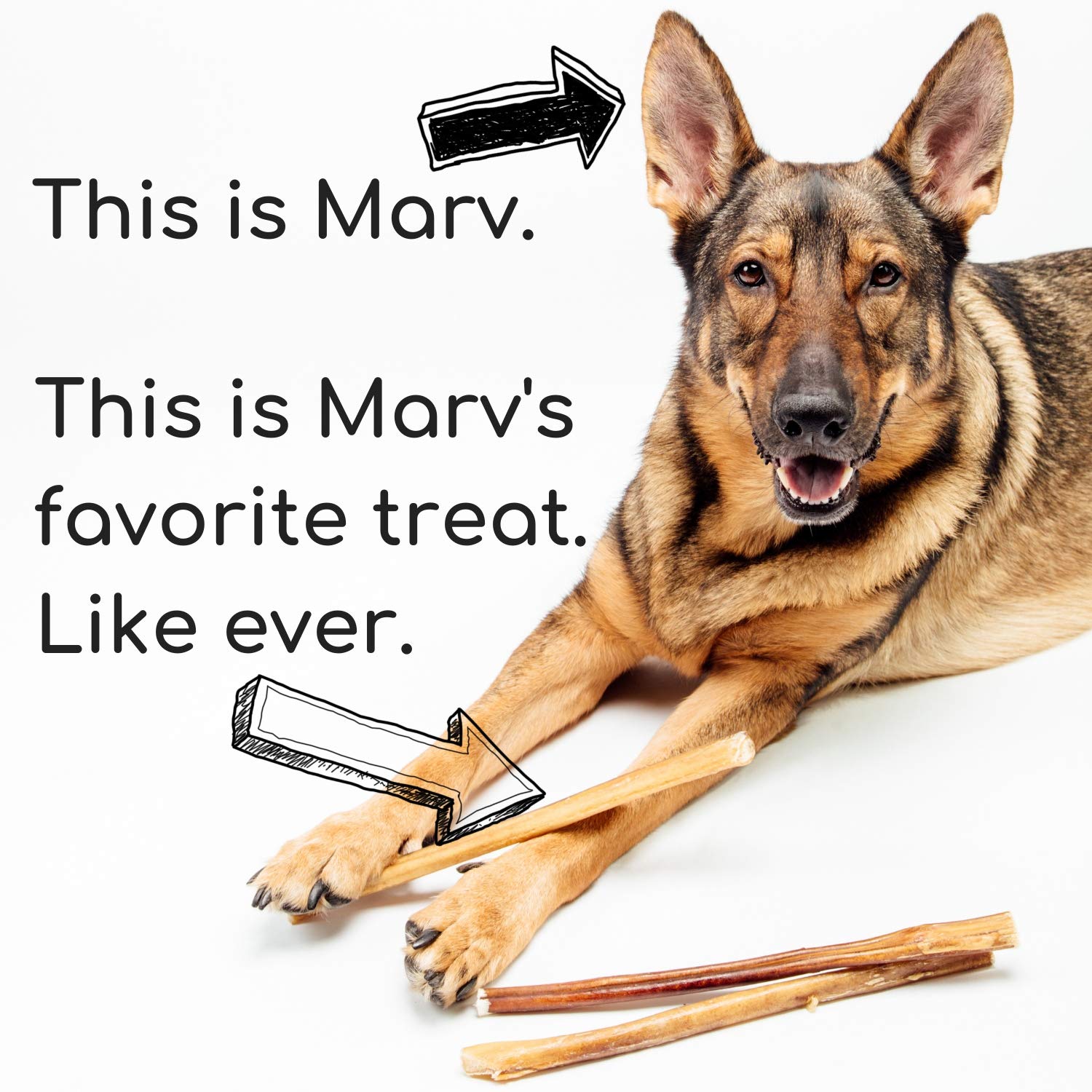 Best For My Pets natural dental chew texture closeup with firm bite
