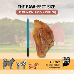Best For My Pets pig ears texture close-up highlighting crunchy cartilage for joint support.