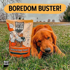 Best For My Pets pig ears dog-chewing scene emphasizing natural pork flavor and digestibility.