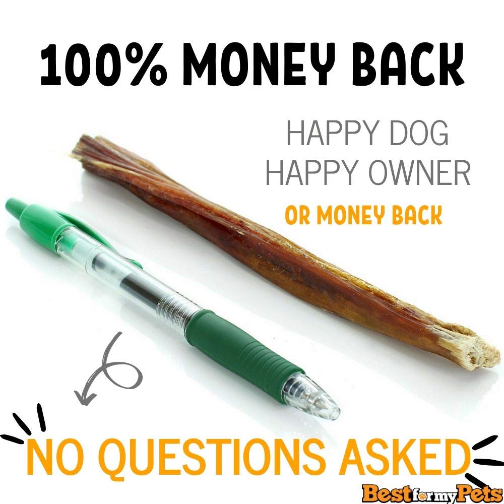 Best For My Pets Tripe Sticks demonstrates dental benefits with a savory bite