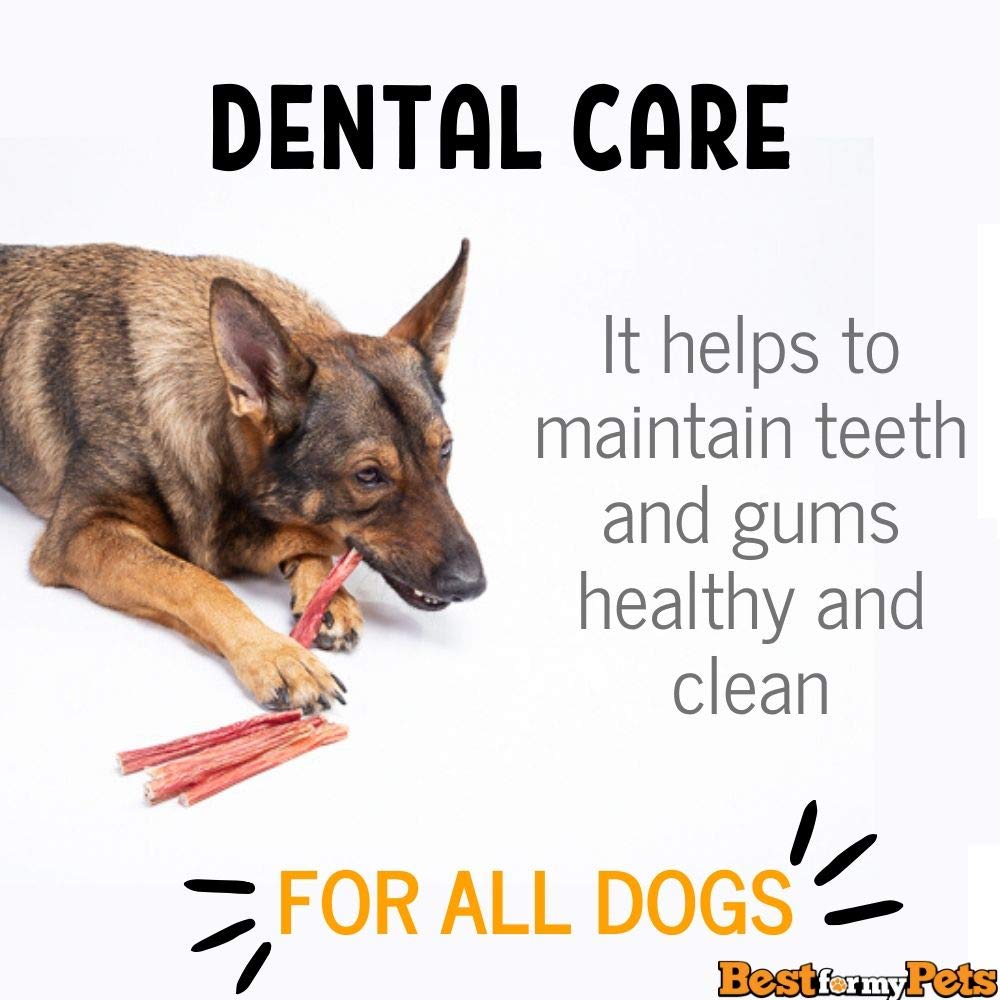 Best For My Pets Tripe Sticks packaging image highlights all natural rawhide-free treats