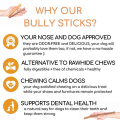 Best For My Pets USA-inspected beef bully sticks label and quality seal