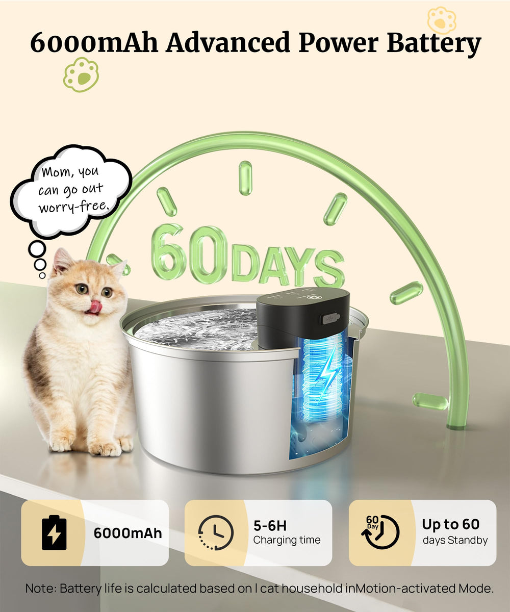 BEST JAJA fountain shows three hydration modes for pets' preferences and routines.