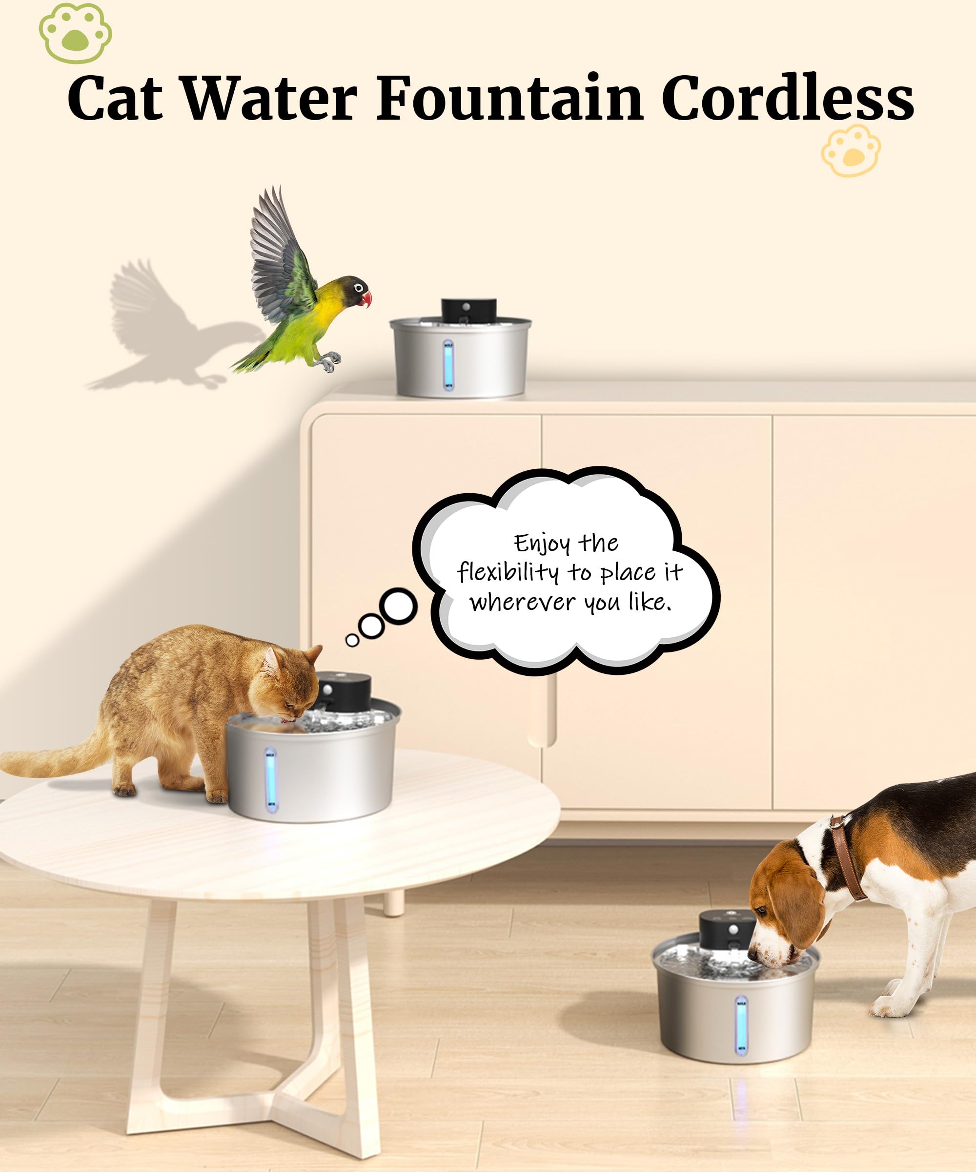 BEST JAJA fountain ultra-quiet pump keeps living spaces calm during hydration.