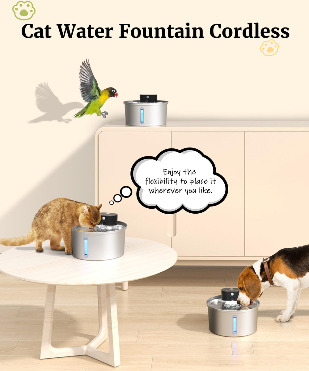 BEST JAJA fountain ultra-quiet pump keeps living spaces calm during hydration.