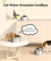 BEST JAJA fountain ultra-quiet pump keeps living spaces calm during hydration.