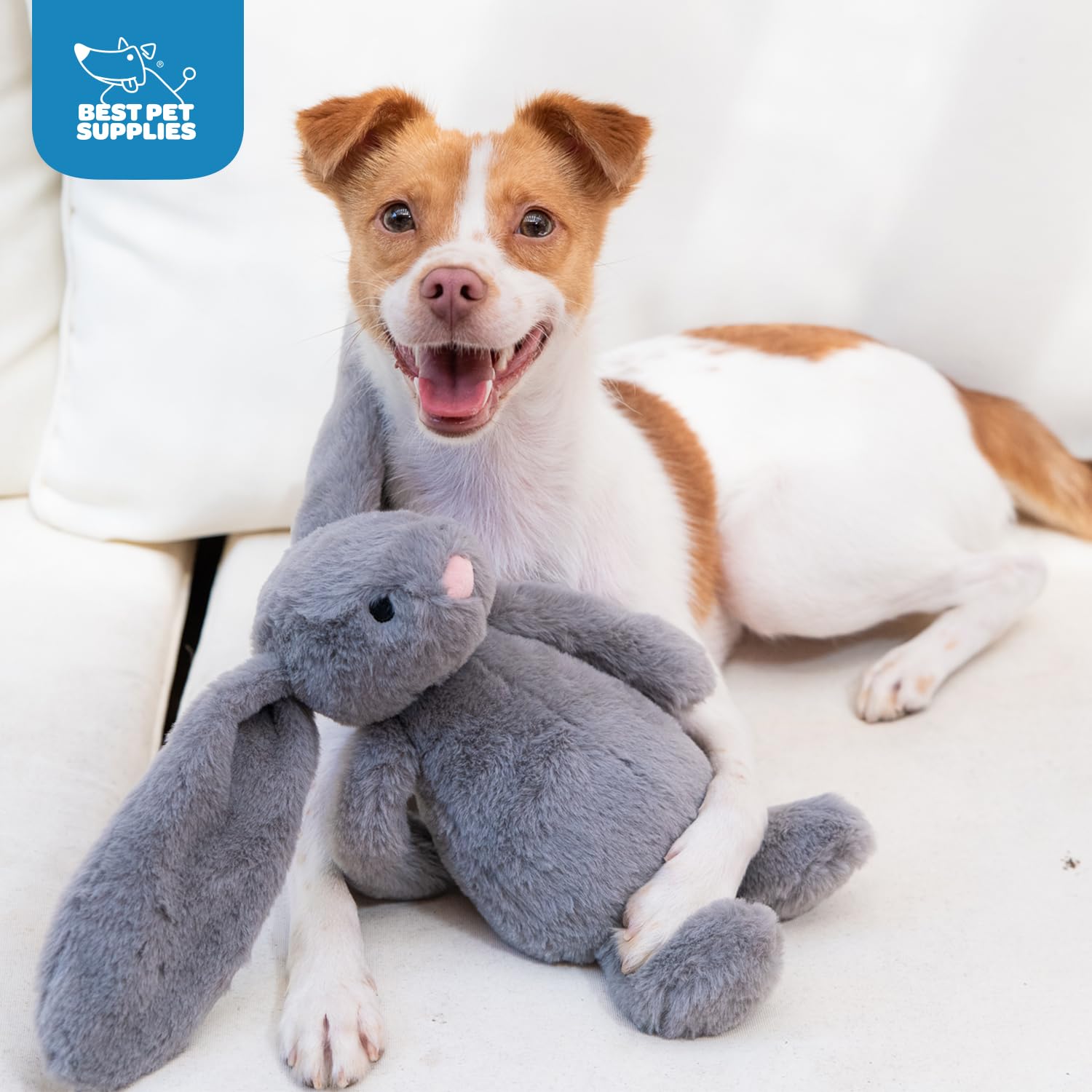 Best Pet Supplies bond-friendly toy supports play and companionship during fetch and cuddle sessions.