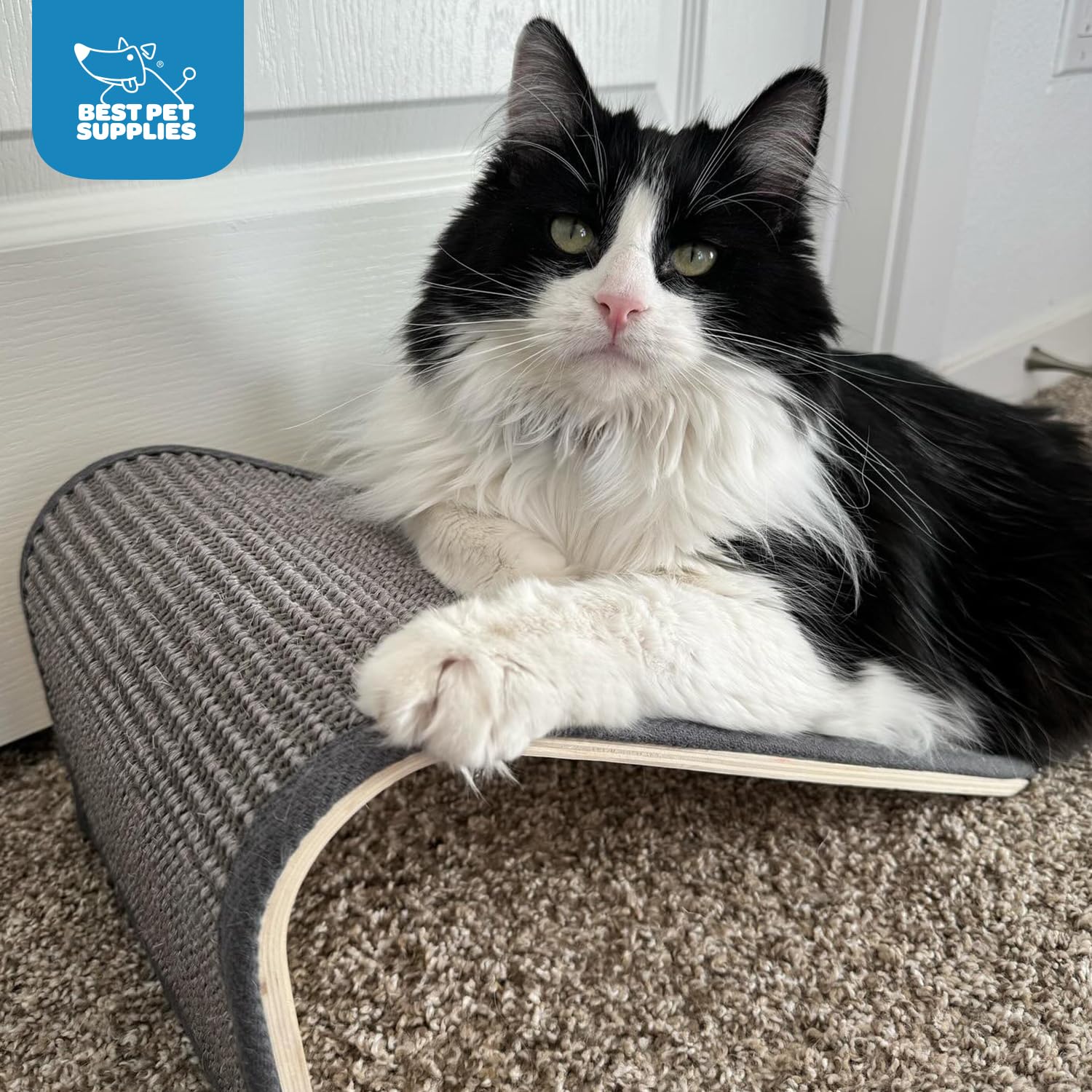 Best Pet Supplies Catify ramp gray design encourages climbing and scratching with stable support.