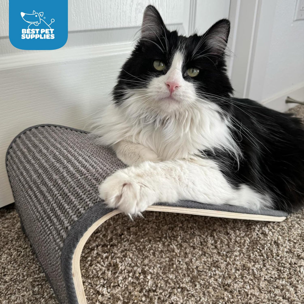 Best Pet Supplies Catify ramp gray design encourages climbing and scratching with stable support.