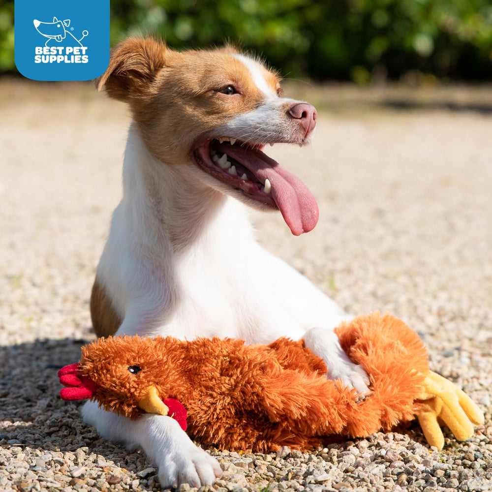 Best Pet Supplies crinkle chicken fetch dog toy aids bonding and outdoor play
