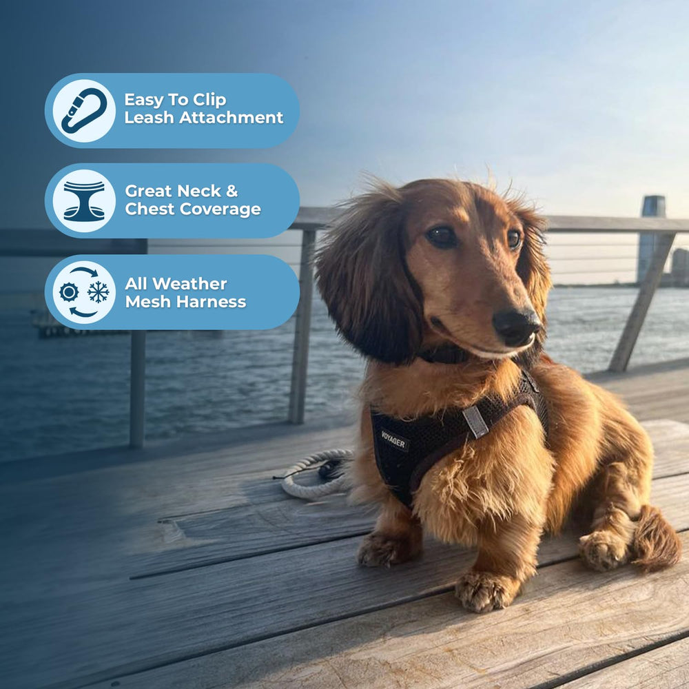 Best Pet Supplies easy-on clip harness simplifies putting on your pet.