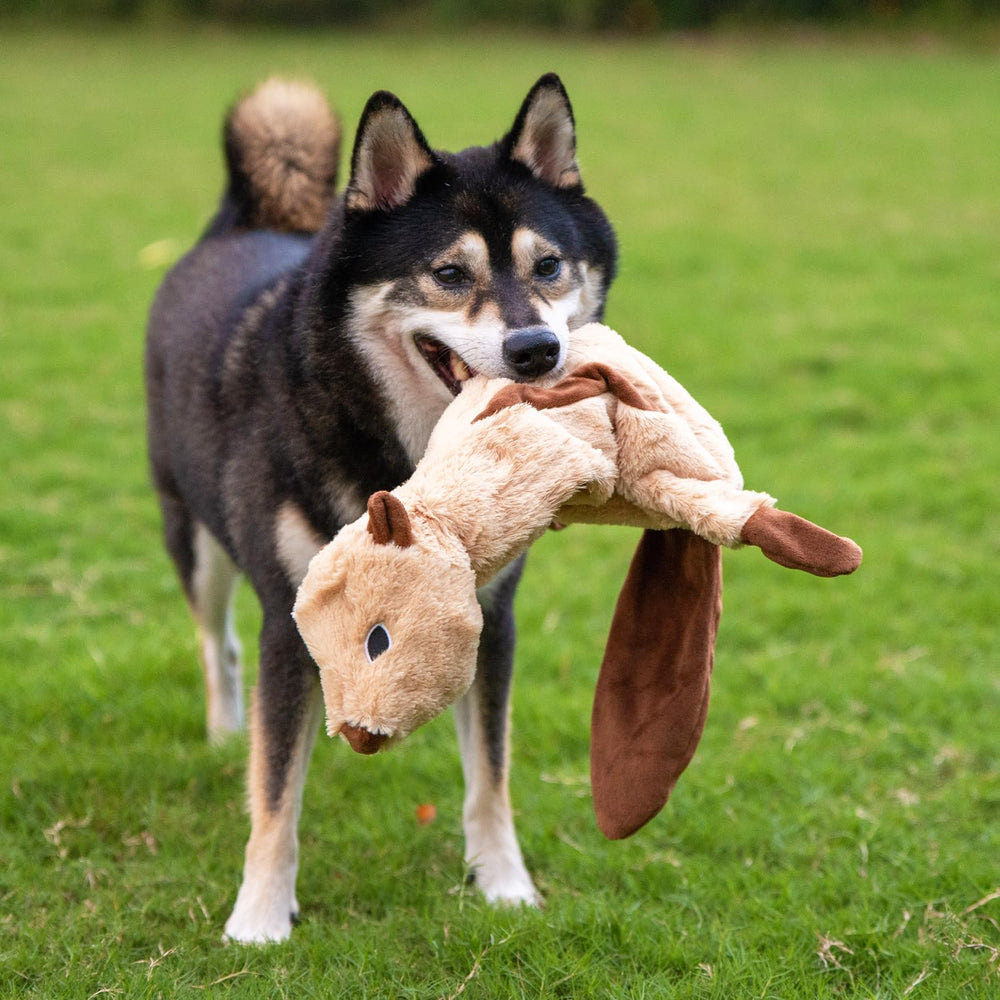 Best Pet Supplies squeaky dog toy bottle-crunch adds extra crunchy sound for engagement