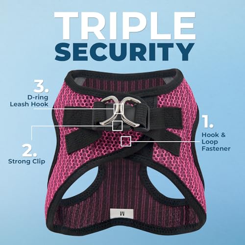 Best Pet Supplies Voyager air mesh fabric keeps pets cool during activity.