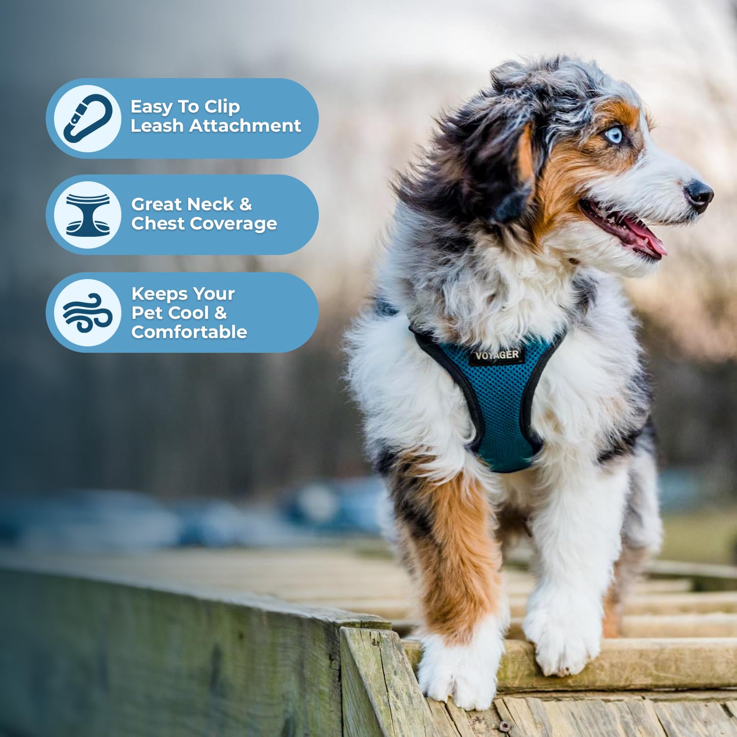 Best Pet Supplies Voyager all-weather air mesh close-up highlights breathable comfort.