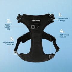 Best Pet Supplies Voyager 3M reflective bands boost visibility during dusk strolls.