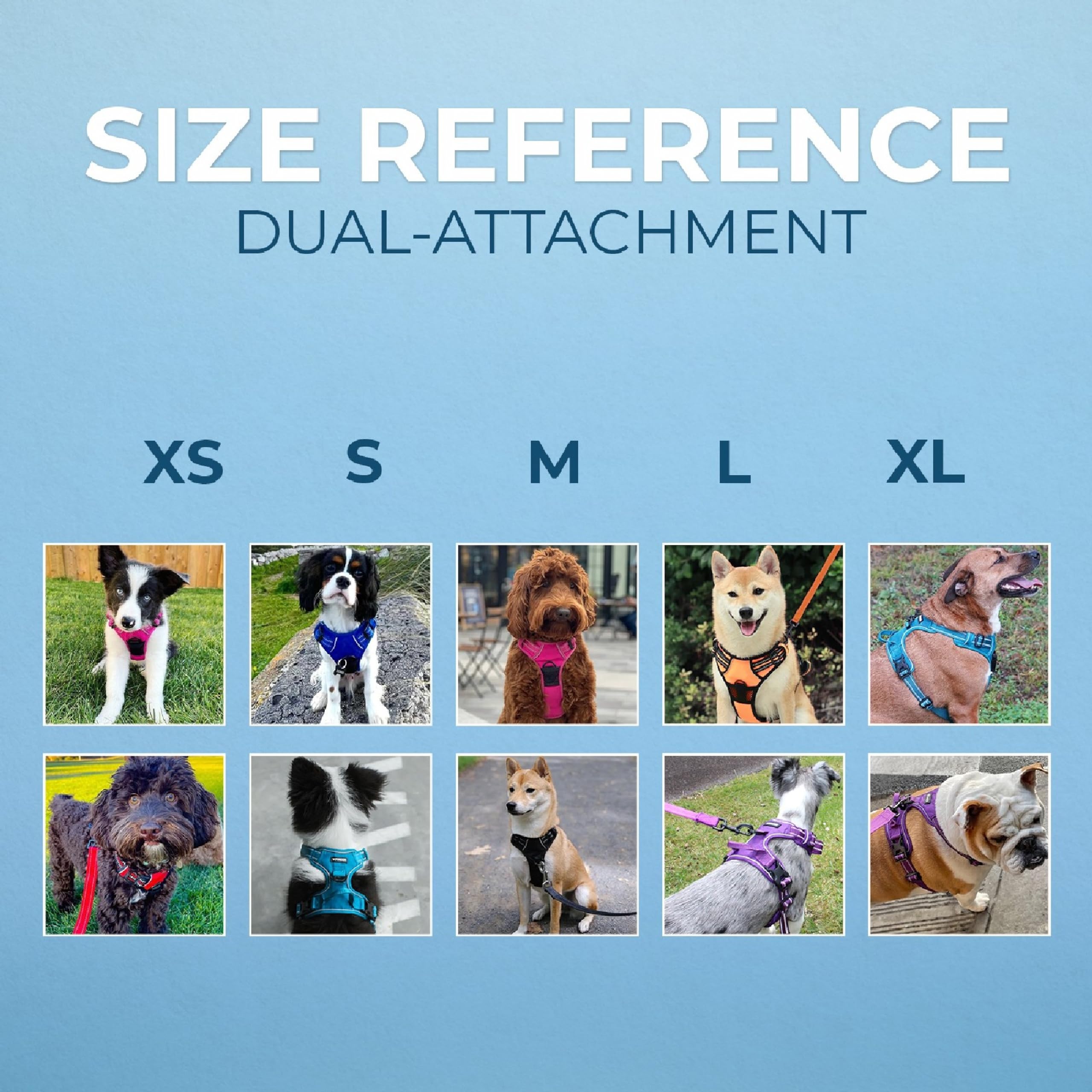 Best Pet Supplies Voyager lattice nylon design blends style with restraint.